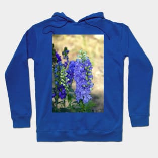 Lupine Hoodie